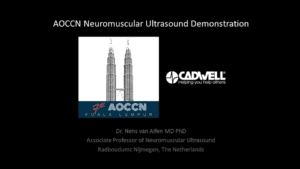 Ultrasound Demonstration